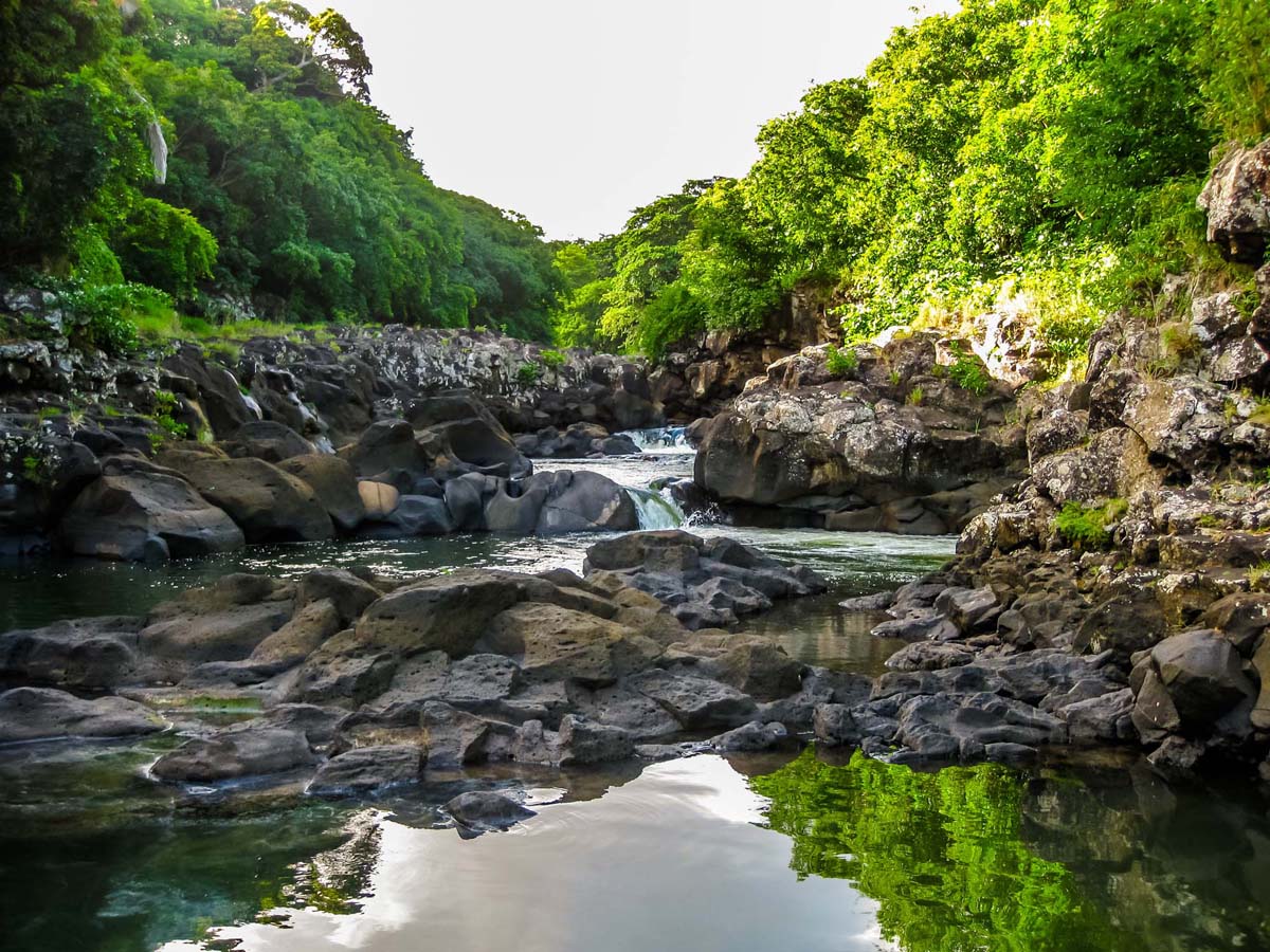 Black River Gorges Park Mauritius